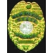 NEW MEXICO STATE POLICE PIN MINI BADGE PIN